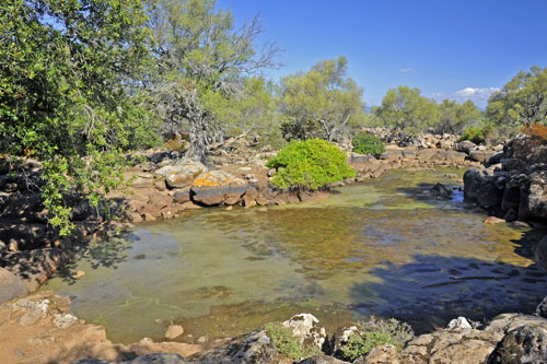 Wassertümpel As Piscinas