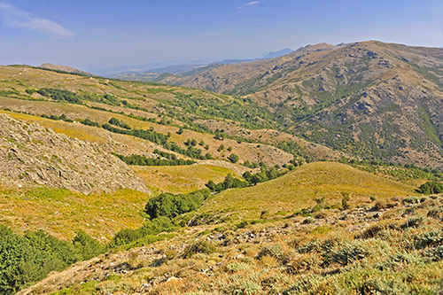 Blick vom Bruncu Spina