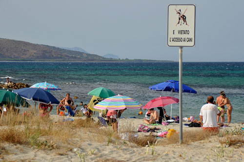 Hundeverbot am Strand