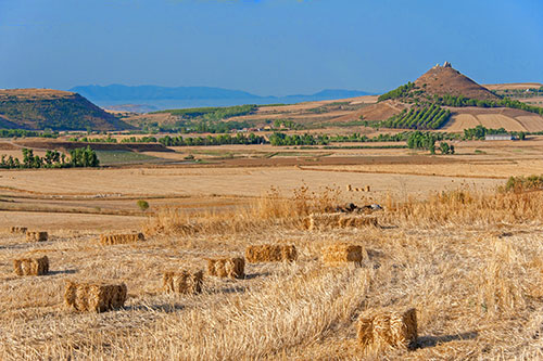 typische Marmilla-Landschaft