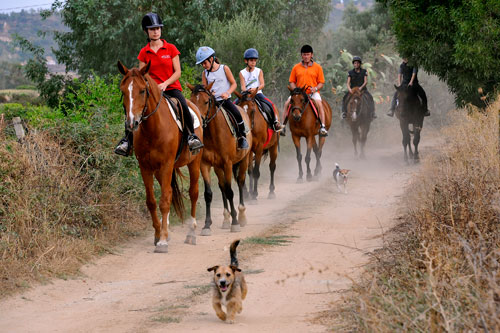 Reiten im Gelände