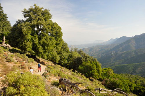 Sardinien Wandern