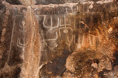 Nekropole Sas Concas, Petroglyphen
